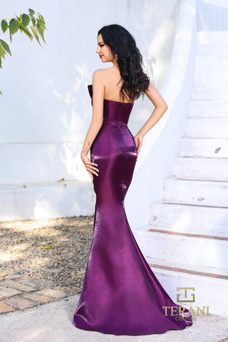 Plumb Terani gown 252E5513 on model