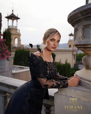 Elegant woman in black gown, 261m6410_2