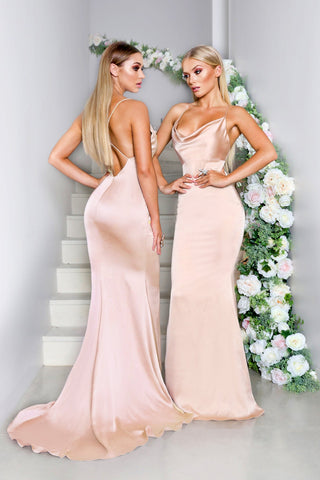 Champaign Dana gowns, two women posing
