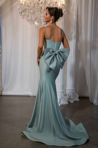 Marisa Sage in a light blue gown with a bow back