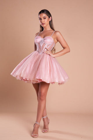 PS21133 BLUSH mini dress