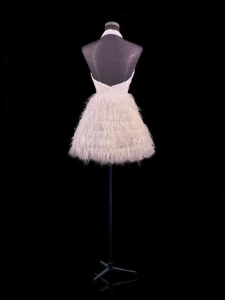 PS21143 Back View Feather Dress