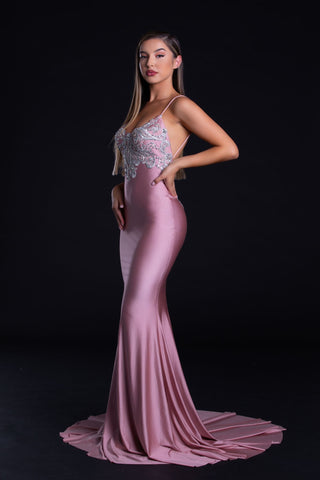 PS21226 Blush Gown