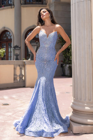 Blue formal gown PS25168