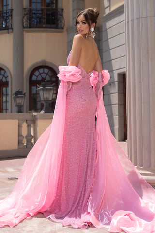 Pink formal gown PS25176 with flowing train