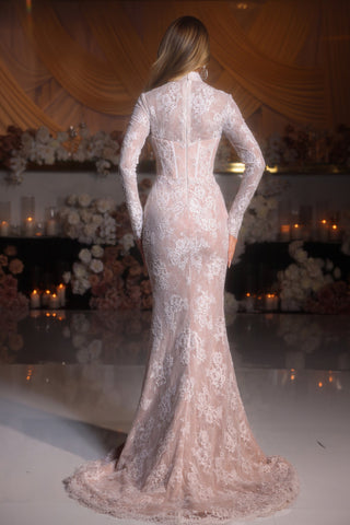 PS25857E Ivory Nude Lace Gown