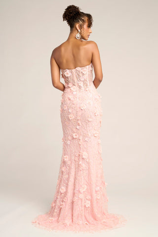 PS26011 Blush Floral Gown