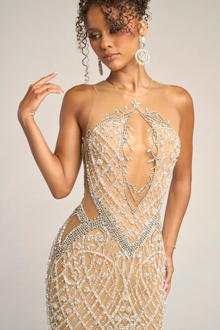 Nude silver embellished gown, PS26454C