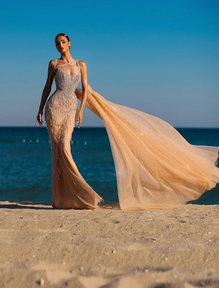Woman in gown on beach.