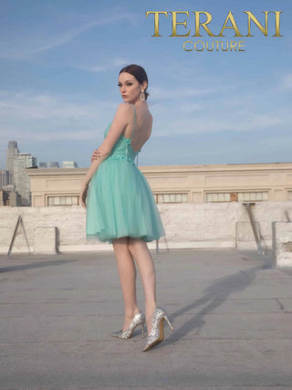 Terani Couture dress back view, 2011P1024