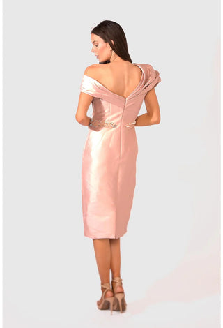 Blush pink dress, back view