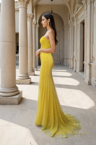 Woman in yellow gown, photo 261P6187.
