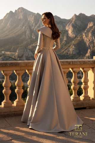 Back view of a woman in elegant gown, 261m6455