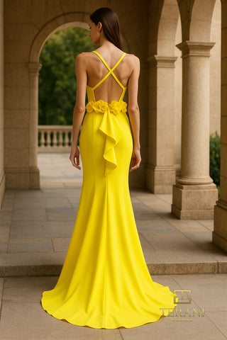 Yellow Citrine Gown, 261p6061