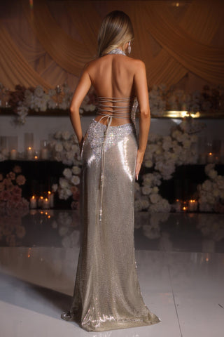 PS25997C-Silver-03 backless silver gown